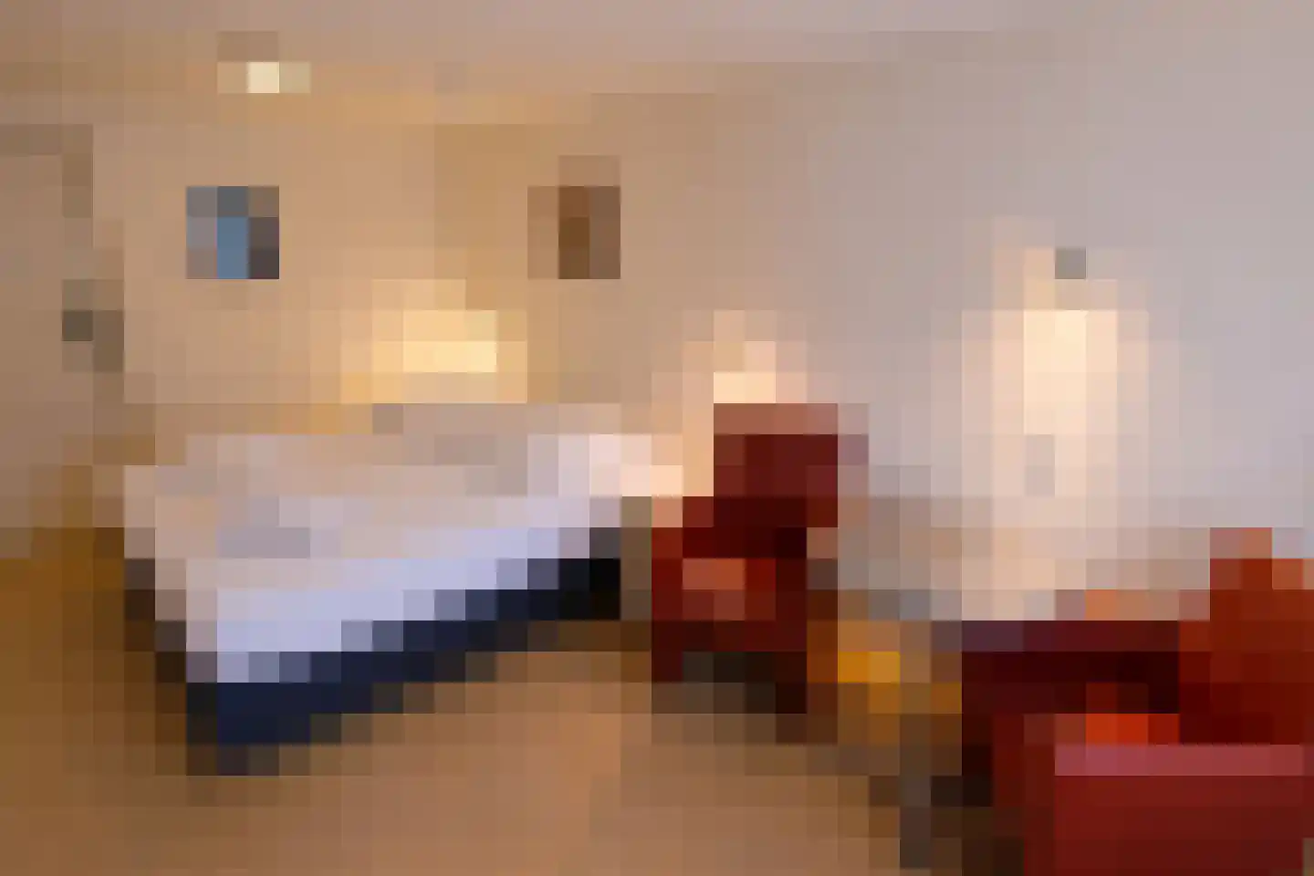 Zeeweg 2 Bergen aan Zee thumbnail 19