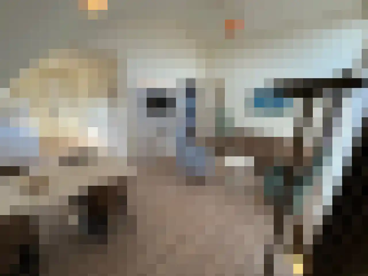 Zeeweg 2 Bergen aan Zee thumbnail 31