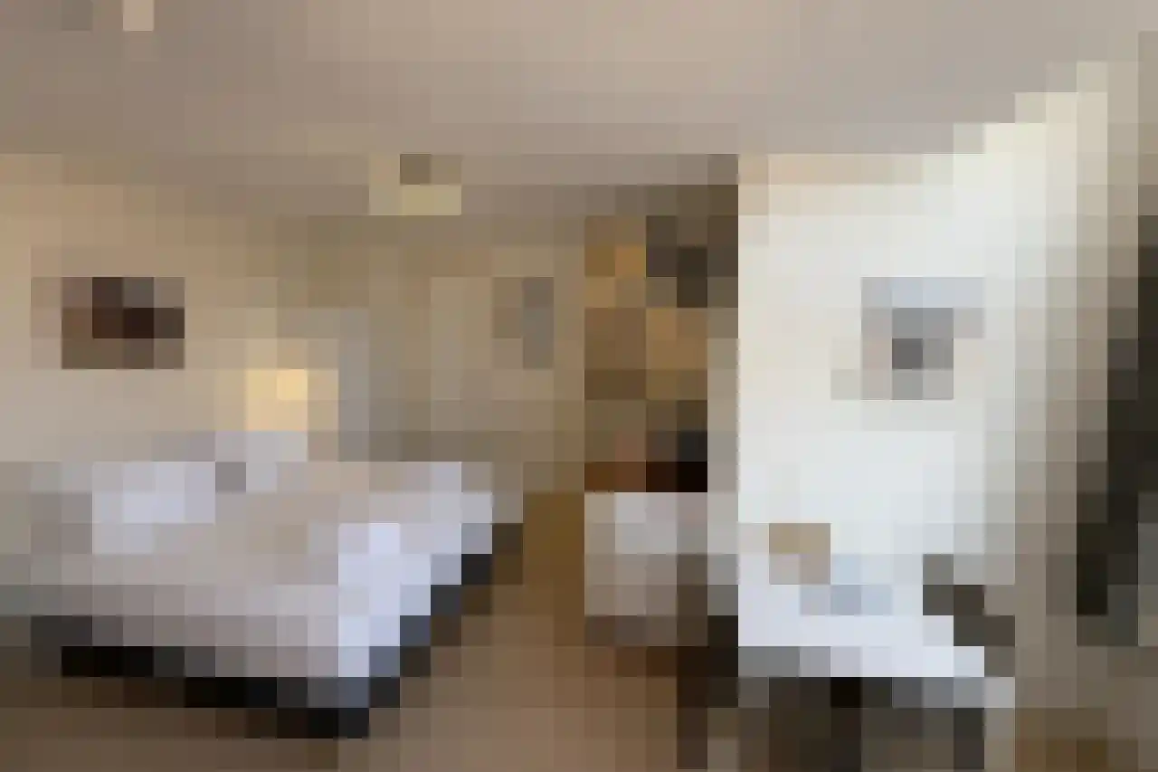 Zeeweg 2 Bergen aan Zee thumbnail 35