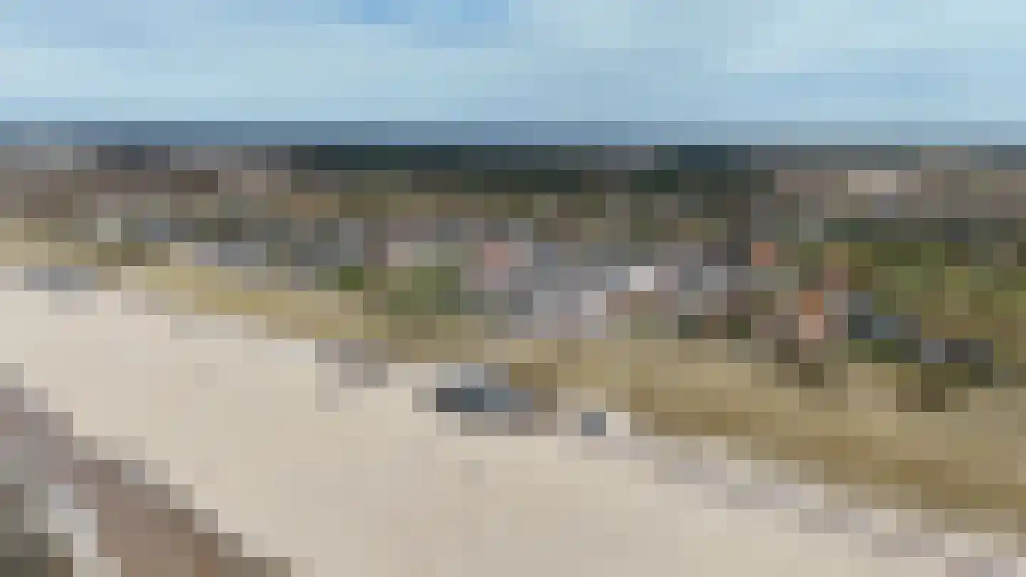 Zeeweg 2 Bergen aan Zee thumbnail 43