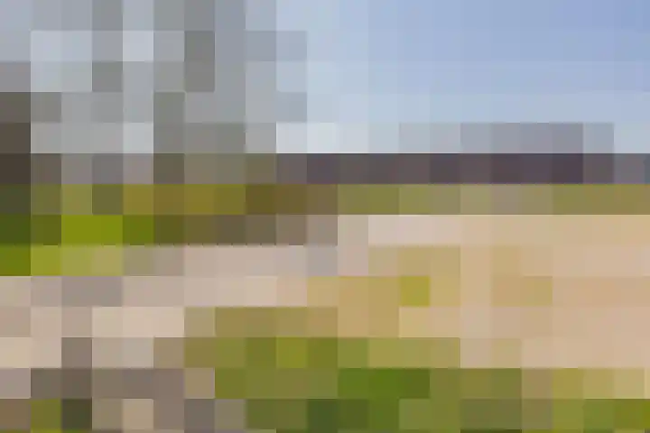 Zeeweg 201 IJmuiden thumbnail 33