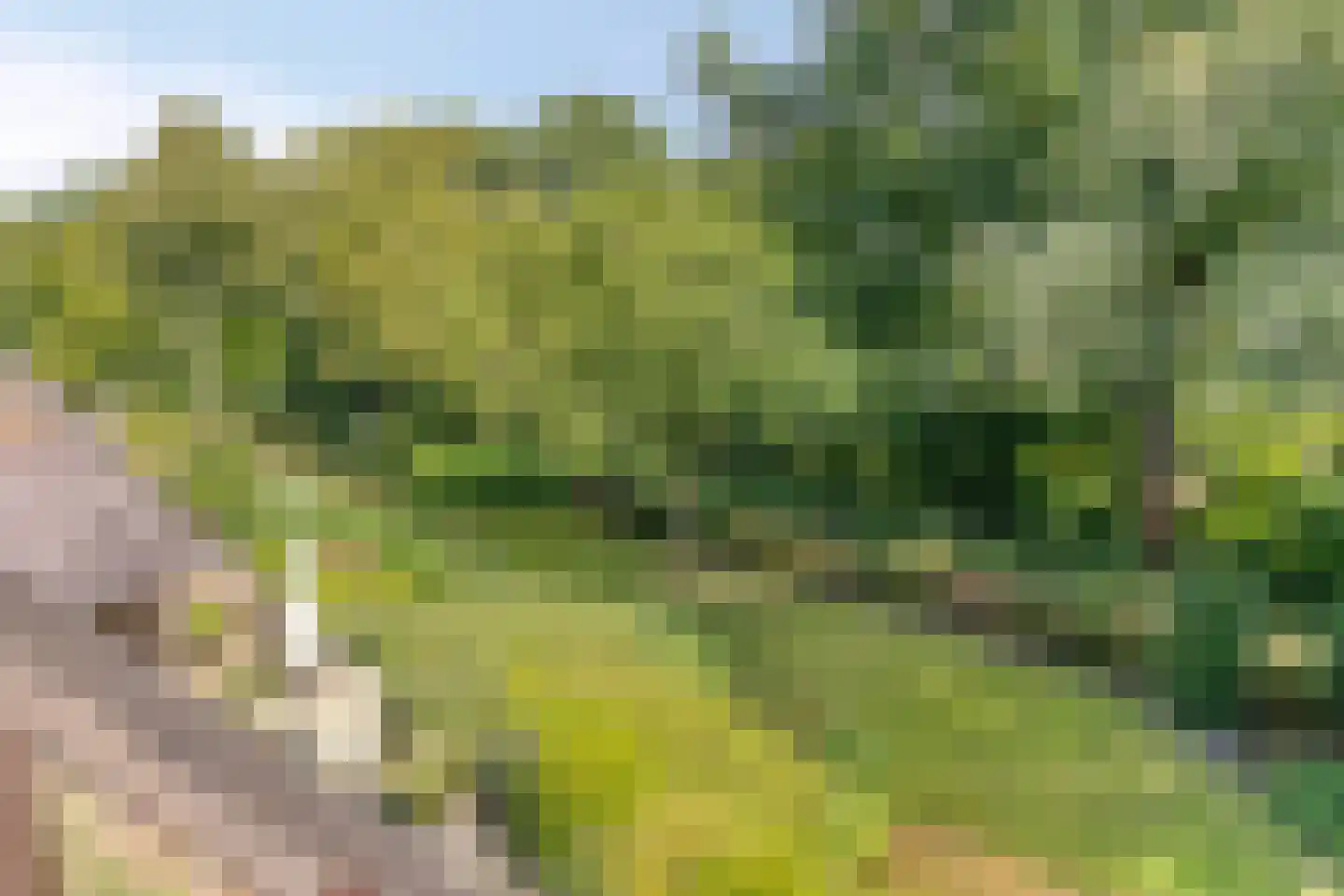 Zeeweg 205 Heiloo thumbnail 16