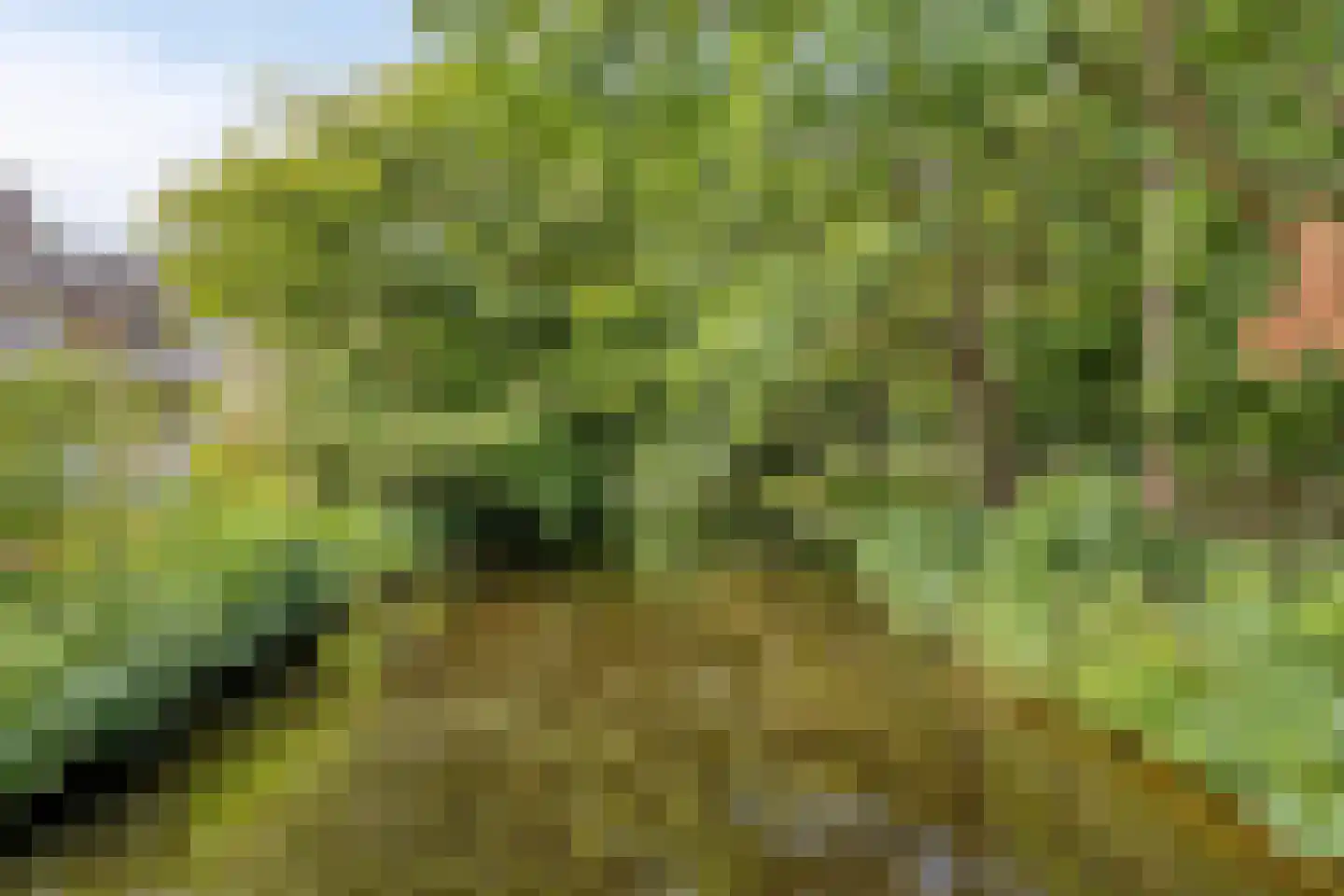 Zeeweg 205 Heiloo thumbnail 27