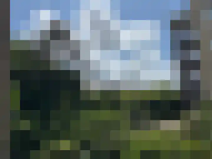 Zeeweg 21 Egmond aan Zee thumbnail 23