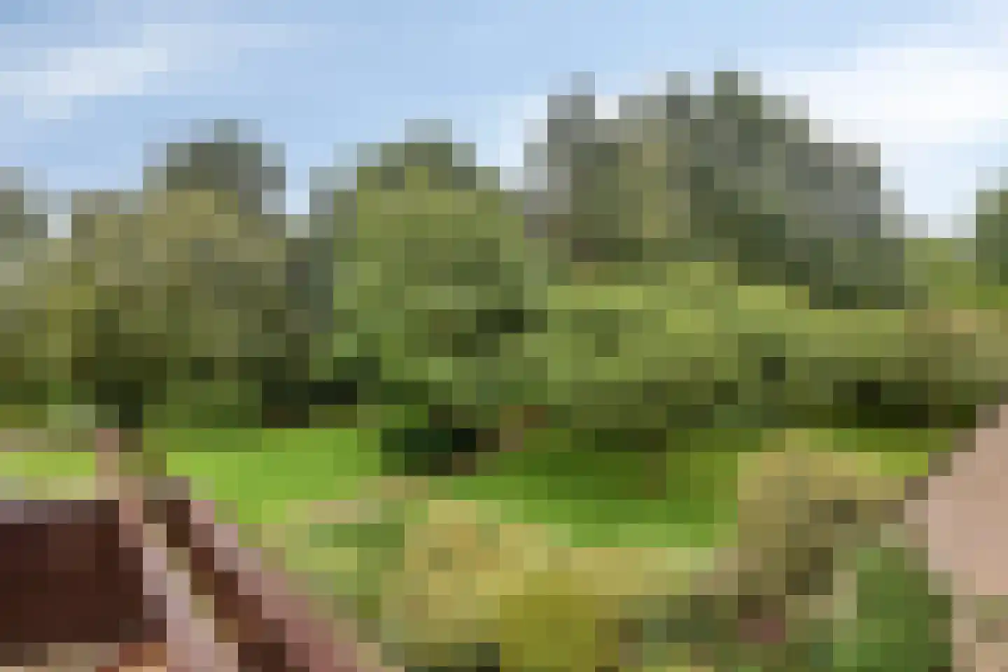 Zeeweg 211 Heiloo thumbnail 24