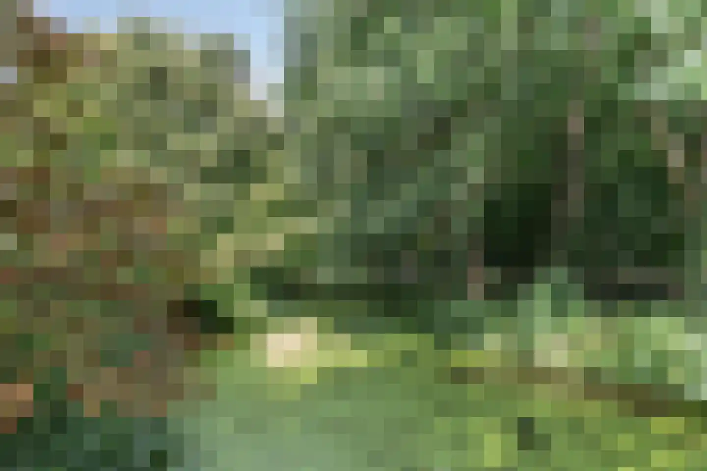 Zeeweg 211 Heiloo thumbnail 44