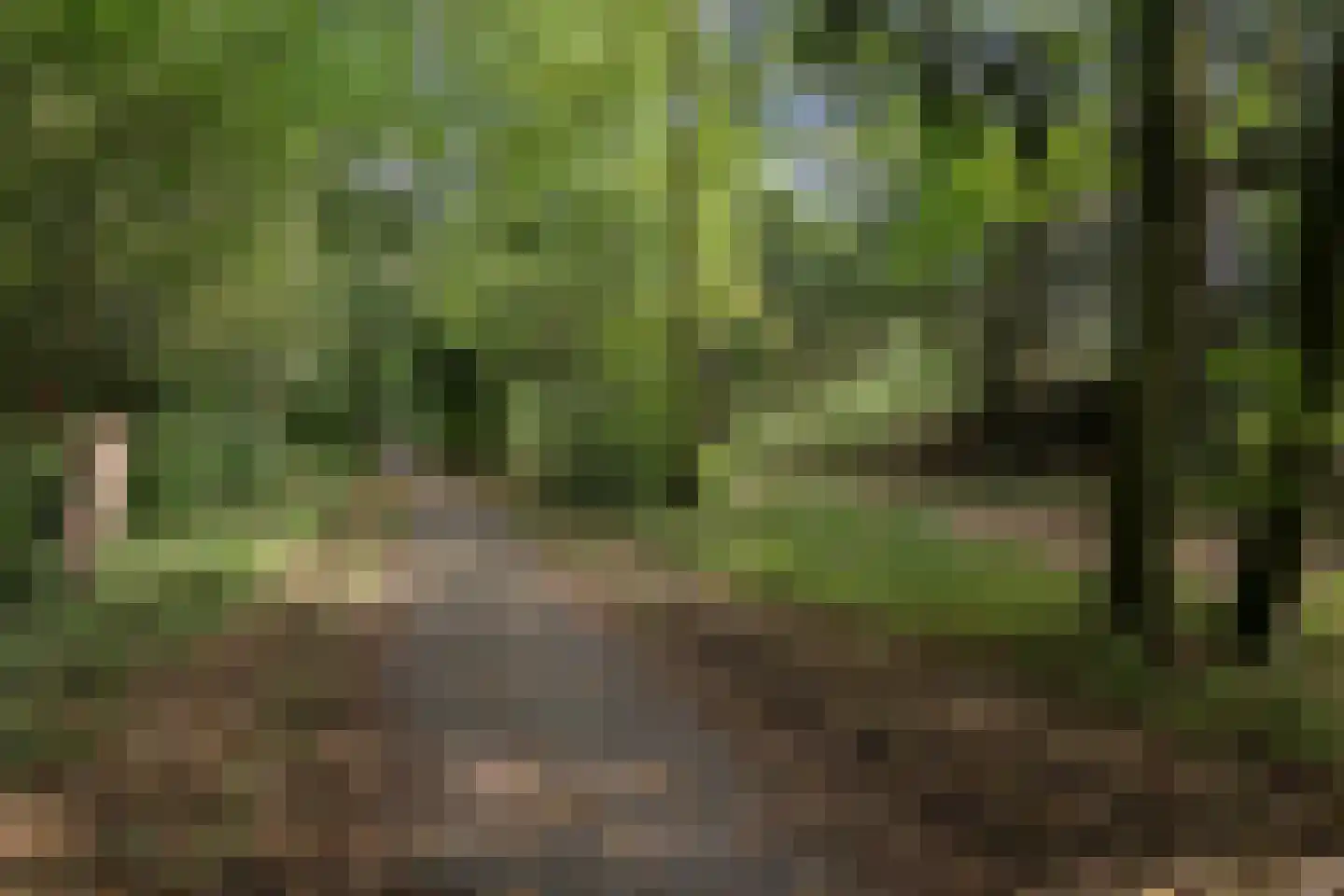 Zeeweg 211 Heiloo thumbnail 46