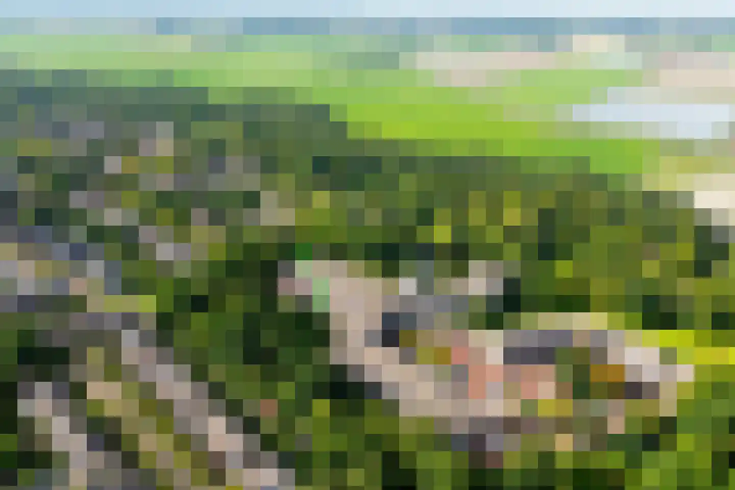 Zeeweg 211 Heiloo thumbnail 5