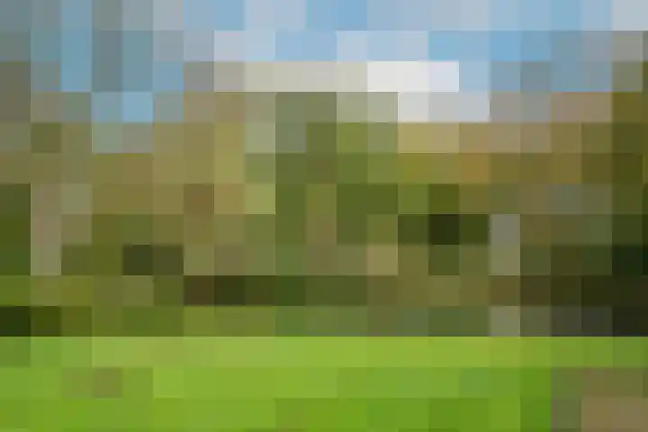 Zeeweg 215 Heiloo thumbnail 24