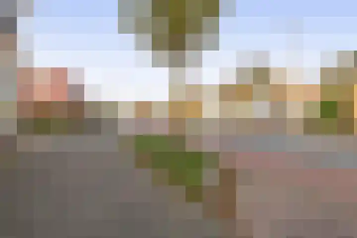 Zeeweg 220 IJmuiden thumbnail 21