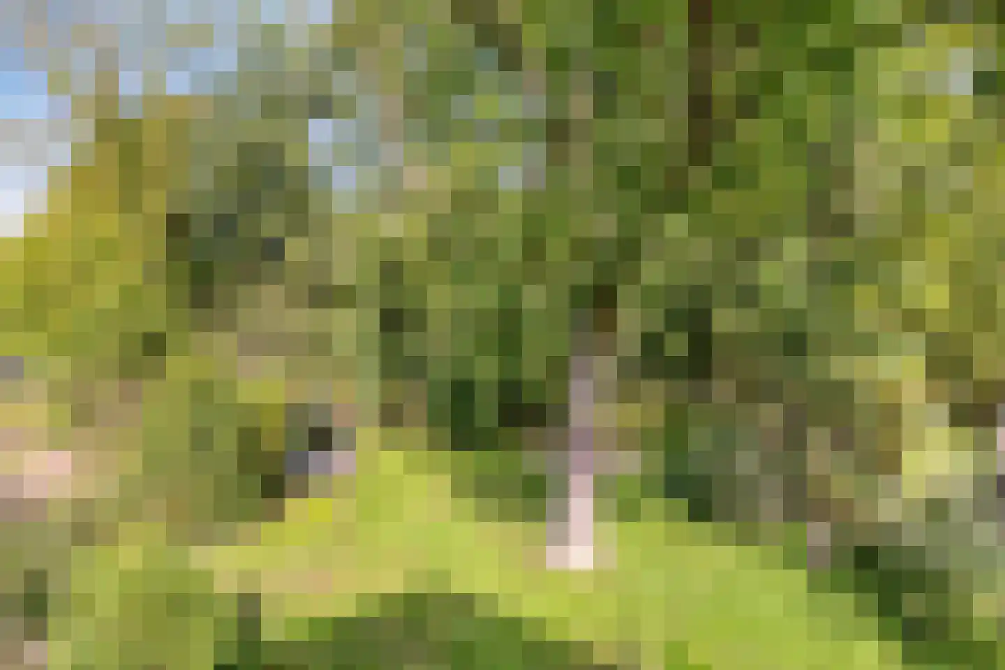 Zeeweg 23 Castricum thumbnail 27
