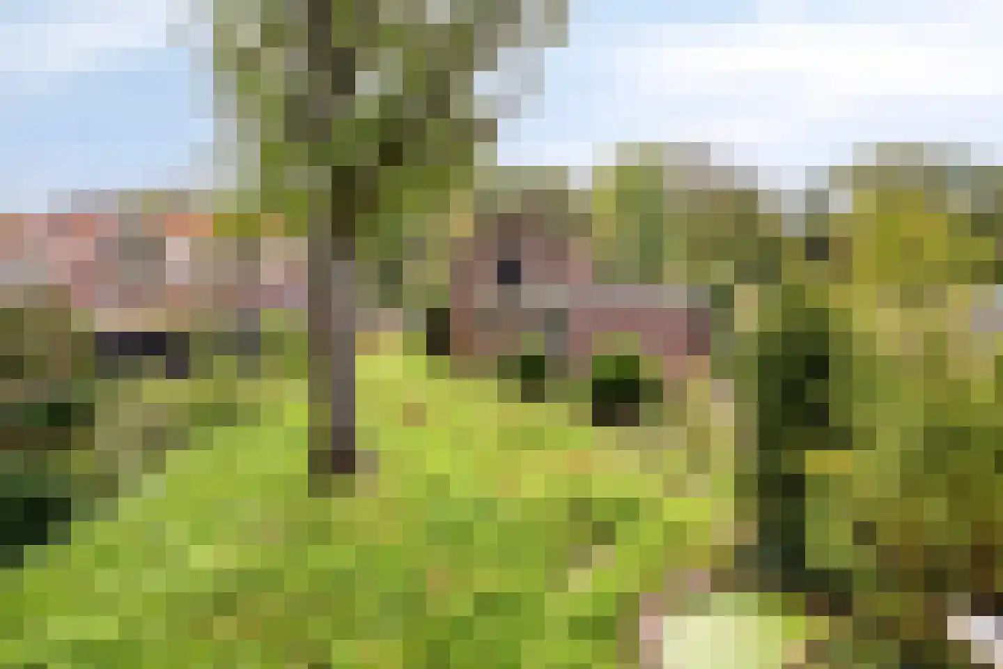 Zeeweg 23 Castricum thumbnail 29