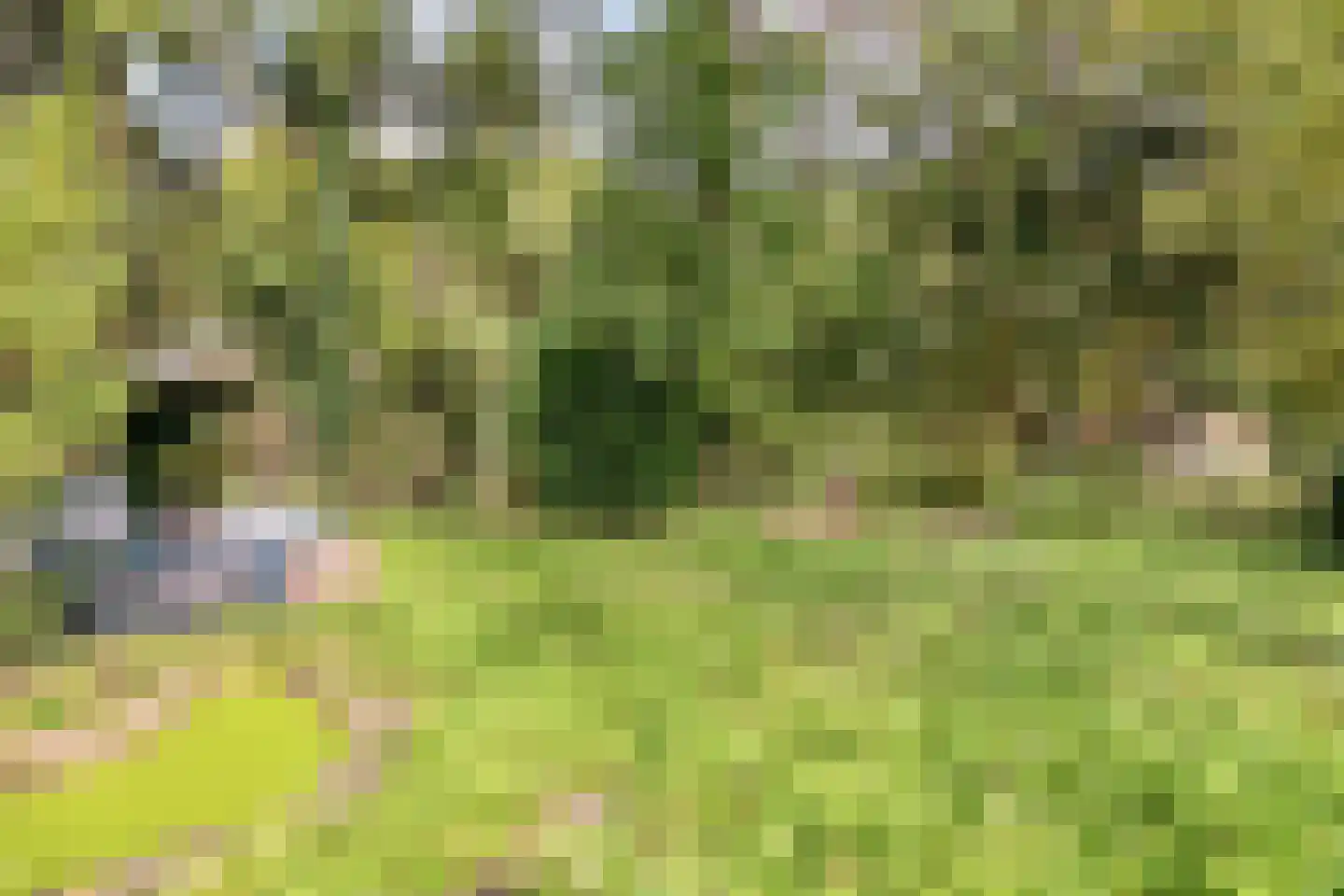 Zeeweg 23 Castricum thumbnail 32