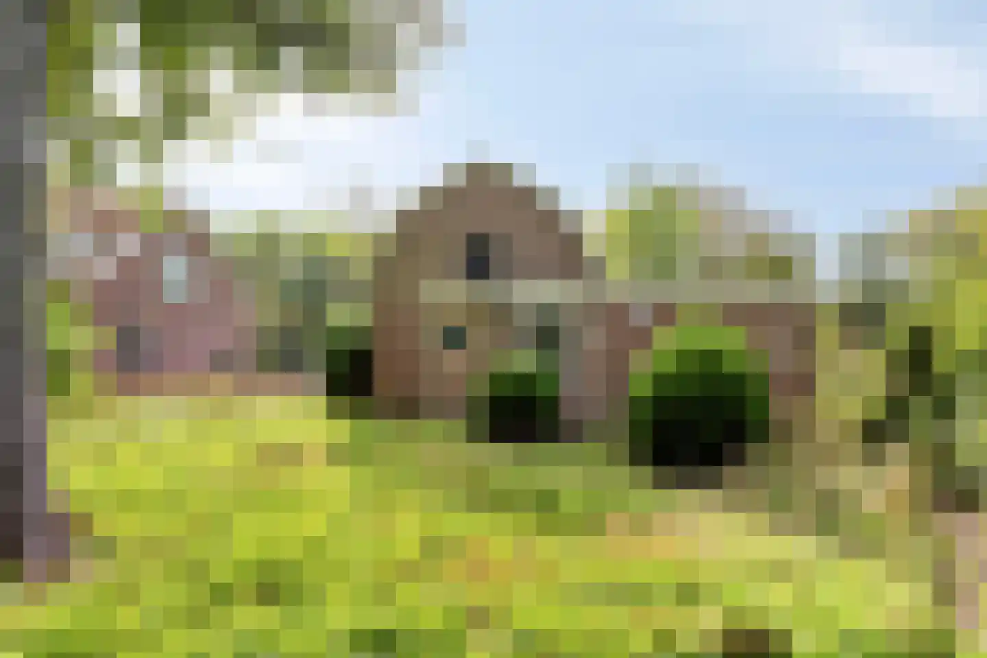 Zeeweg 23 Castricum thumbnail 33