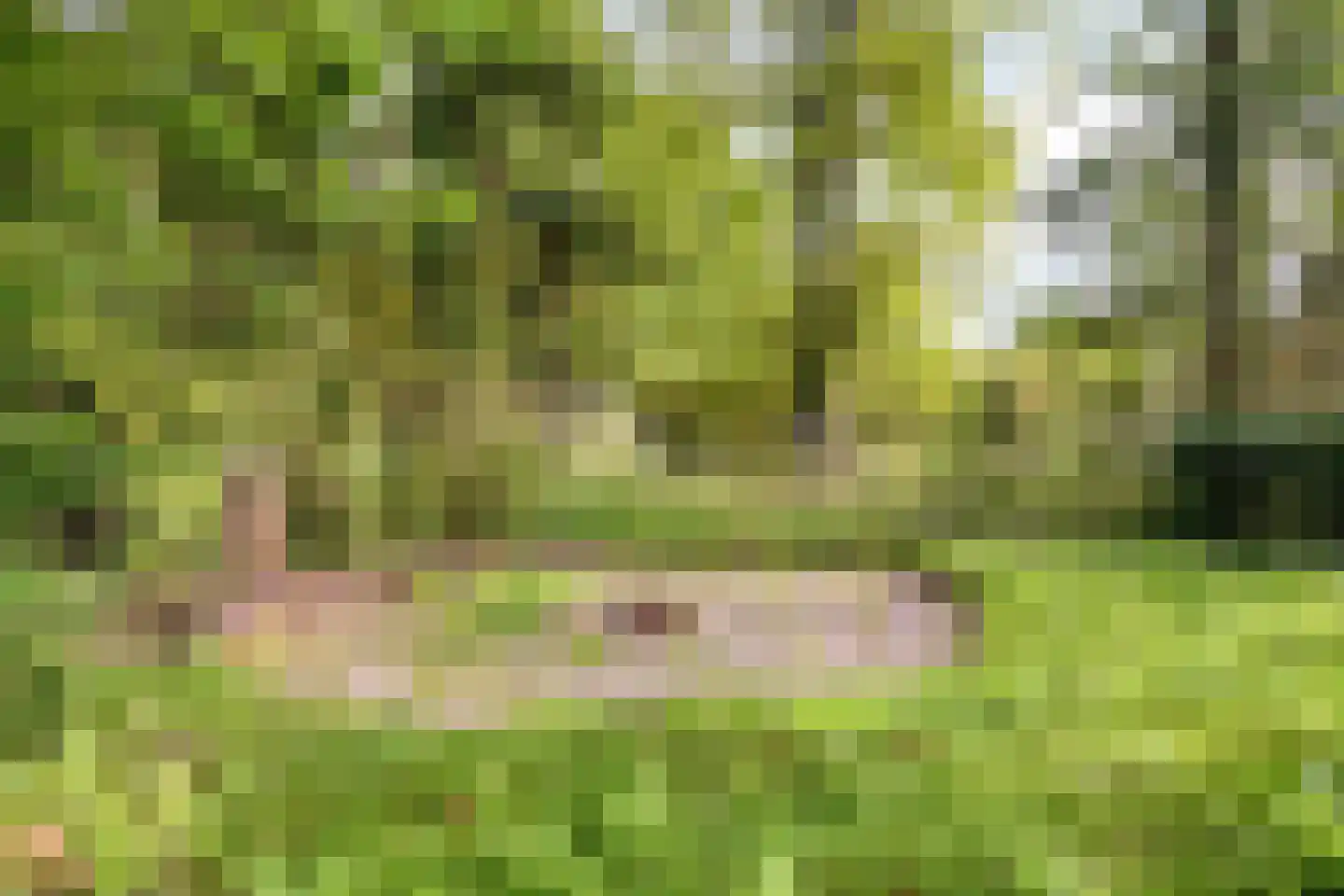 Zeeweg 23 Castricum thumbnail 34