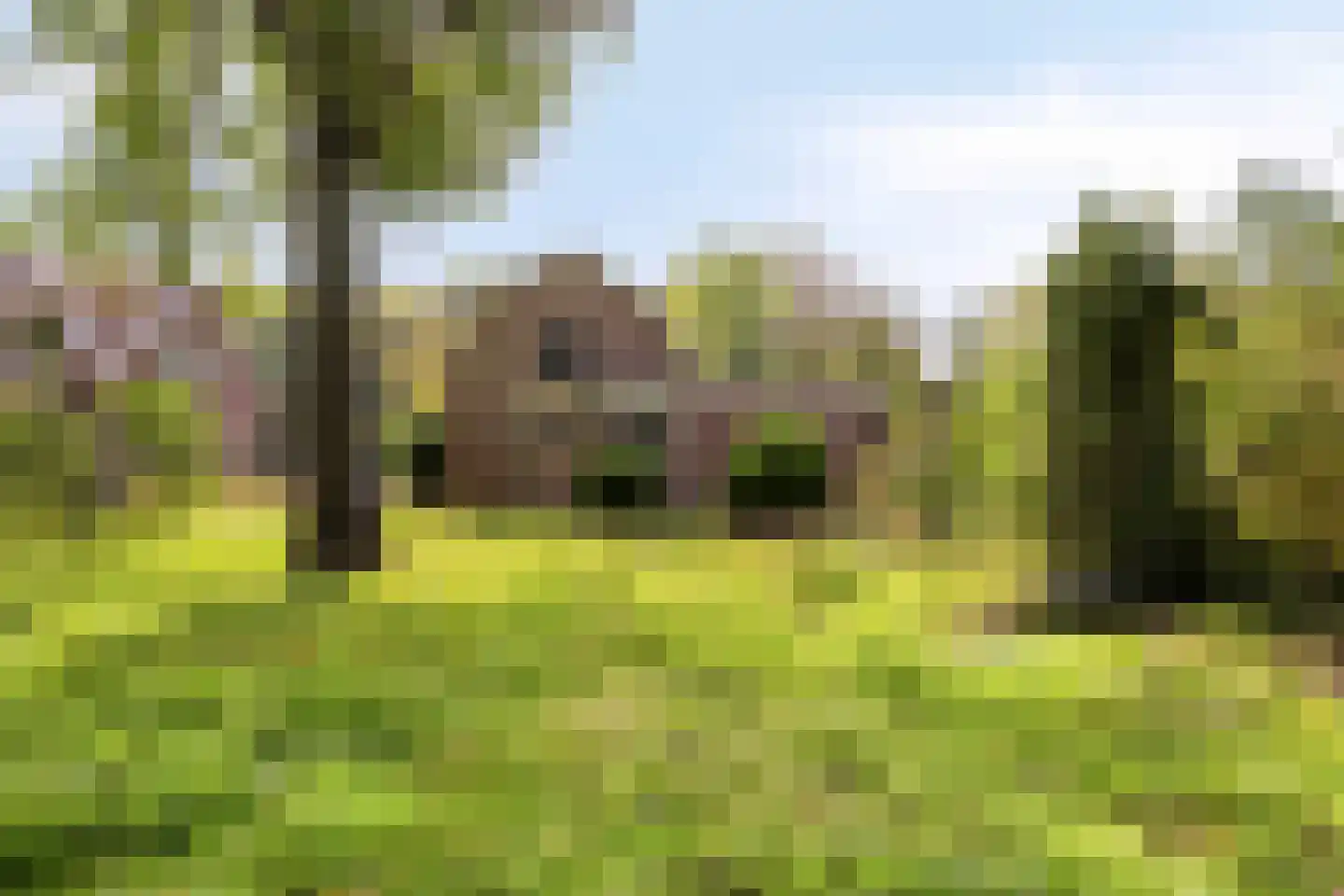 Zeeweg 23 Castricum thumbnail 35