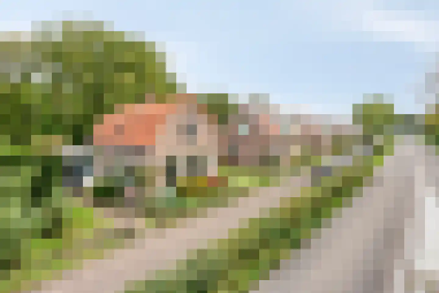 Zeeweg 23 Castricum thumbnail 7