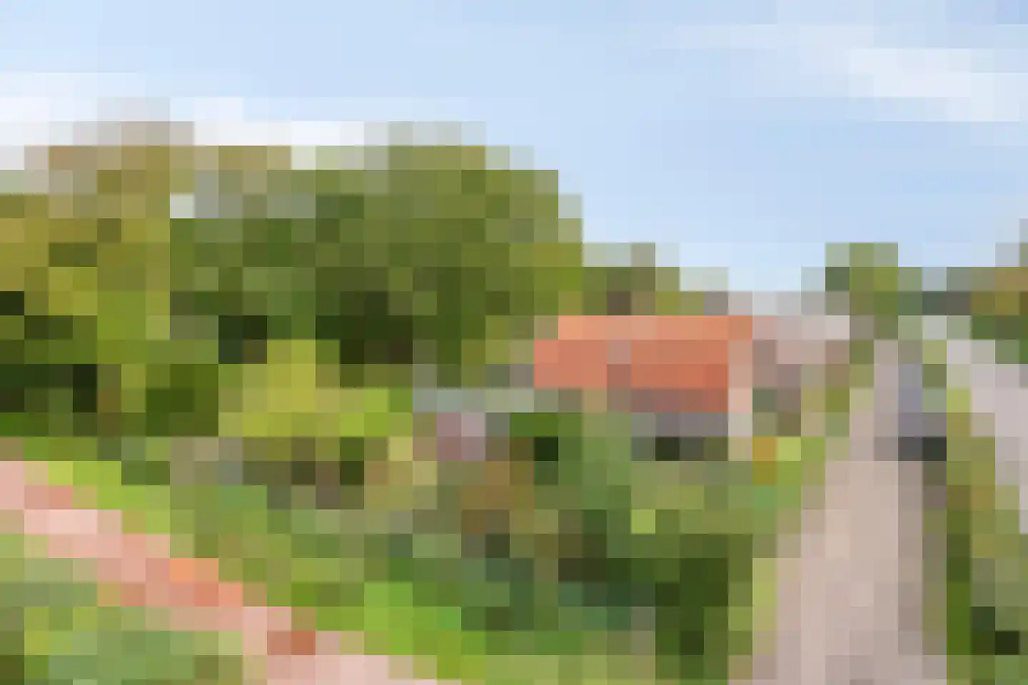 Zeeweg 23 Castricum thumbnail 8