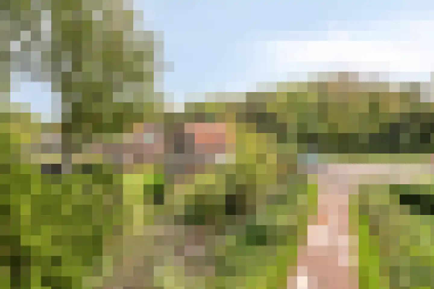 Zeeweg 23 Castricum thumbnail 9