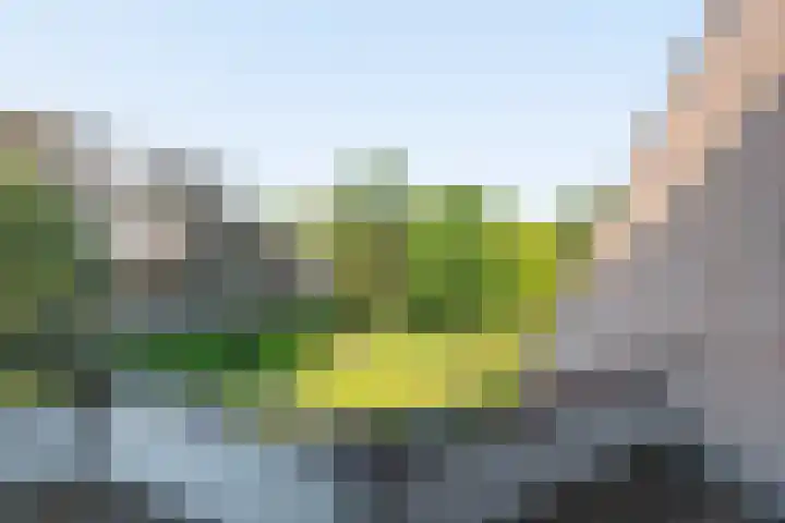 Zeeweg 232 Heiloo thumbnail 27