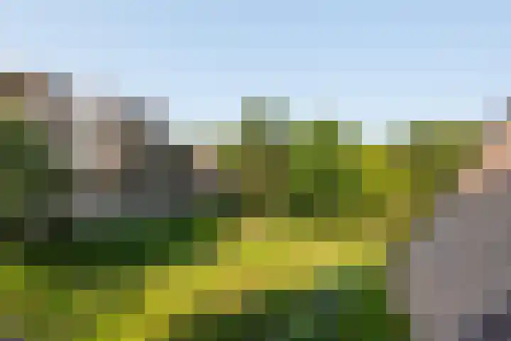 Zeeweg 232 Heiloo thumbnail 30