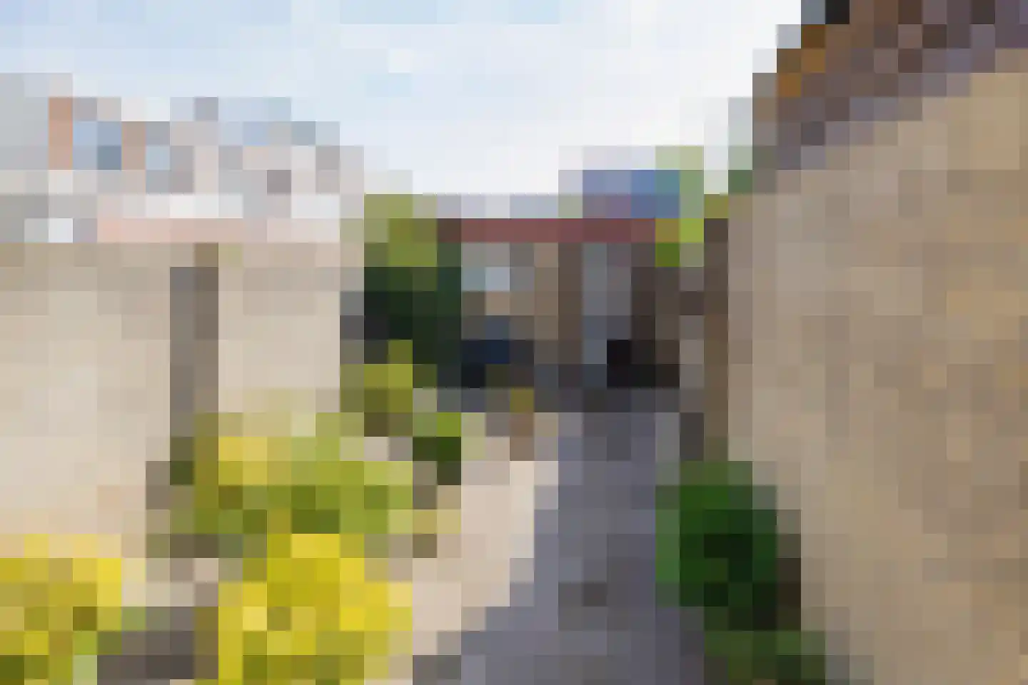Zeeweg 235 IJmuiden thumbnail 23