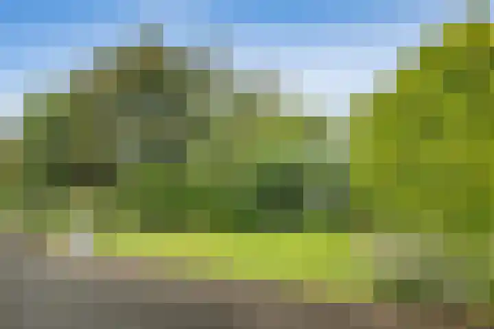 Zeeweg 3 014 Groede thumbnail 27