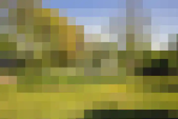 Zeeweg 3 014 Groede thumbnail 32
