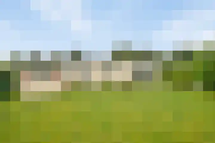 Zeeweg 3 015 Groede thumbnail 19