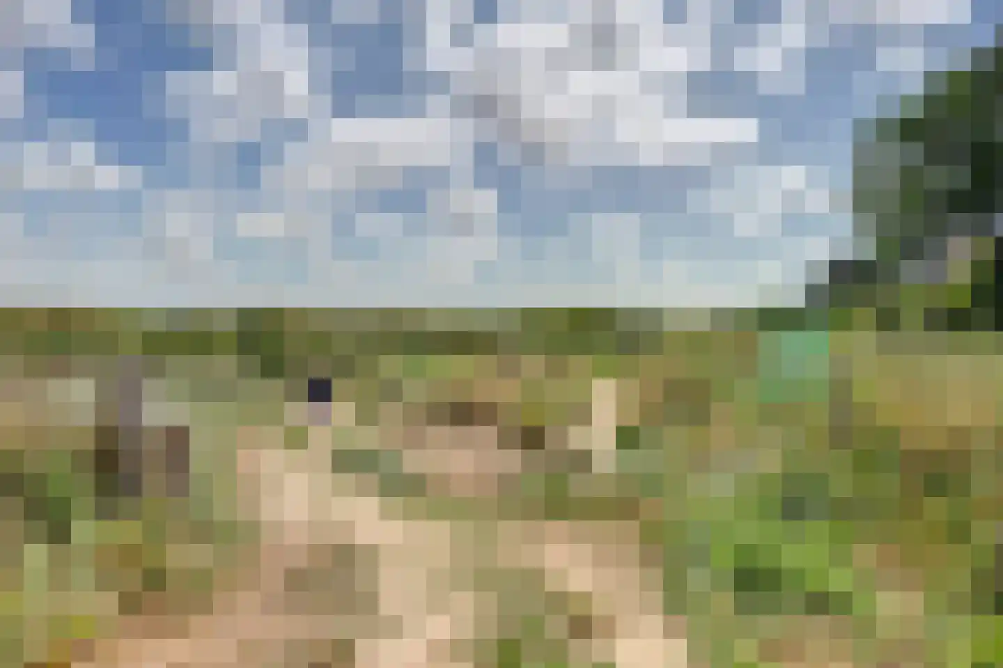 Zeeweg 30 Egmond aan Zee thumbnail 4