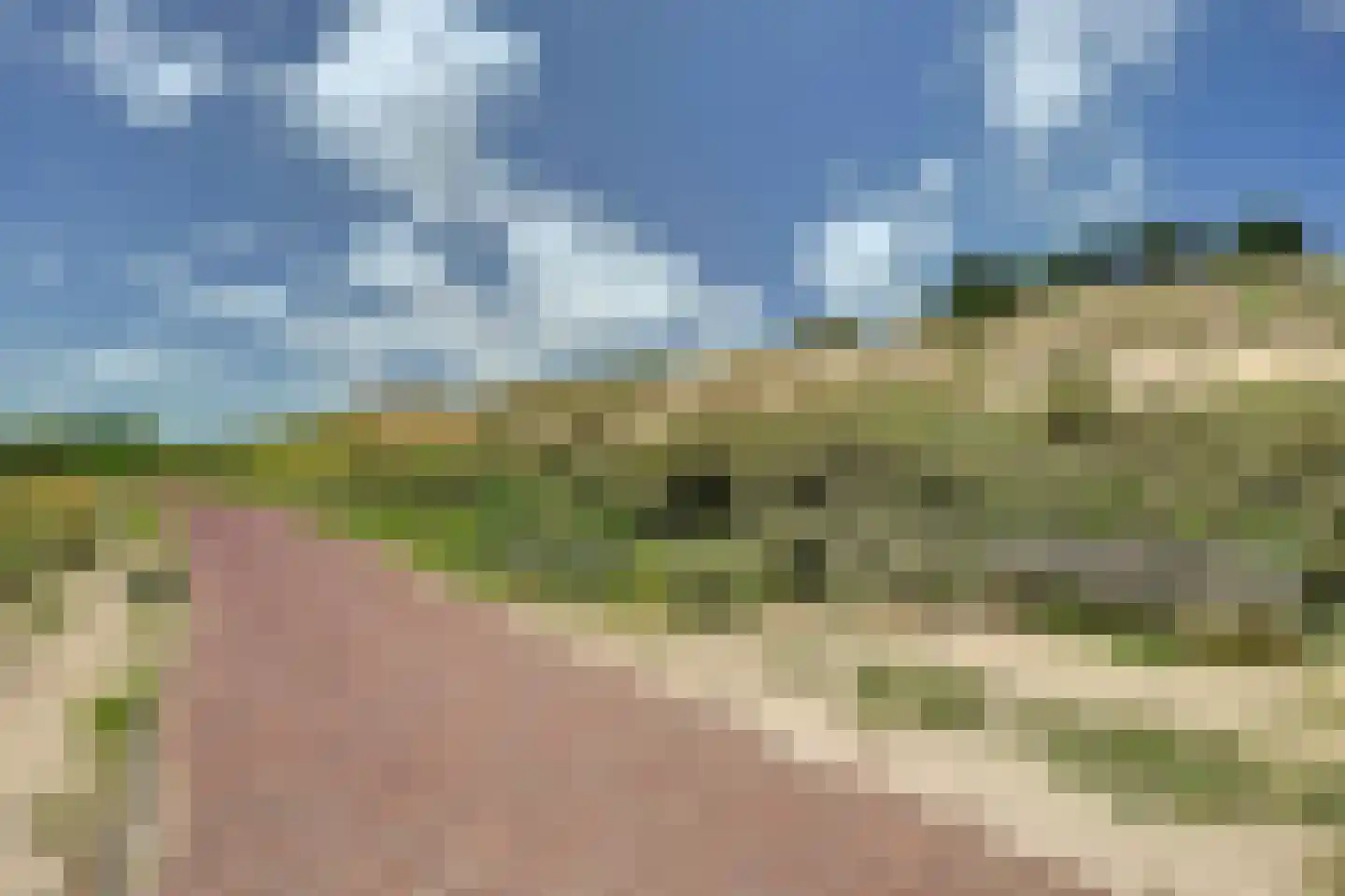 Zeeweg 30 Egmond aan Zee thumbnail 55
