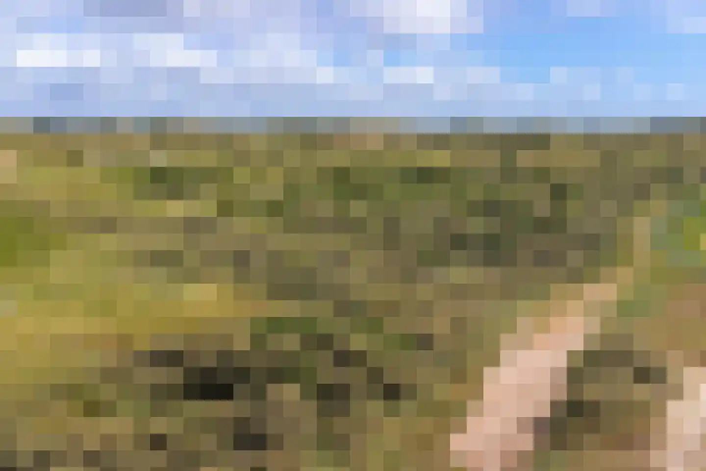 Zeeweg 30 Egmond aan Zee thumbnail 60