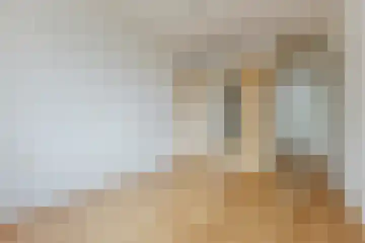 Zeeweg 301 Heiloo thumbnail 13