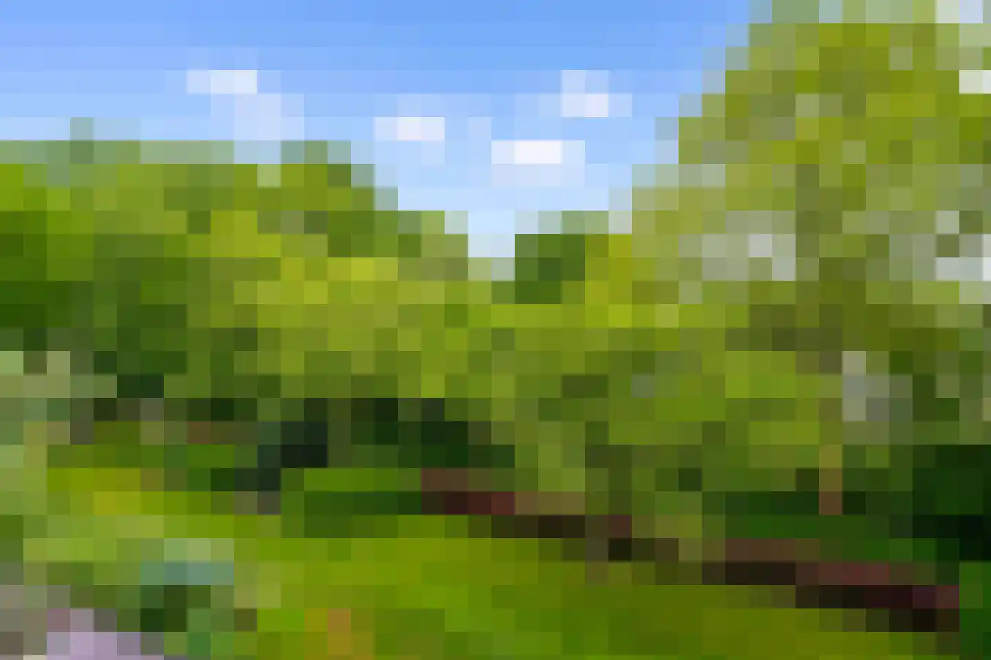 Zeeweg 302 Heiloo thumbnail 57