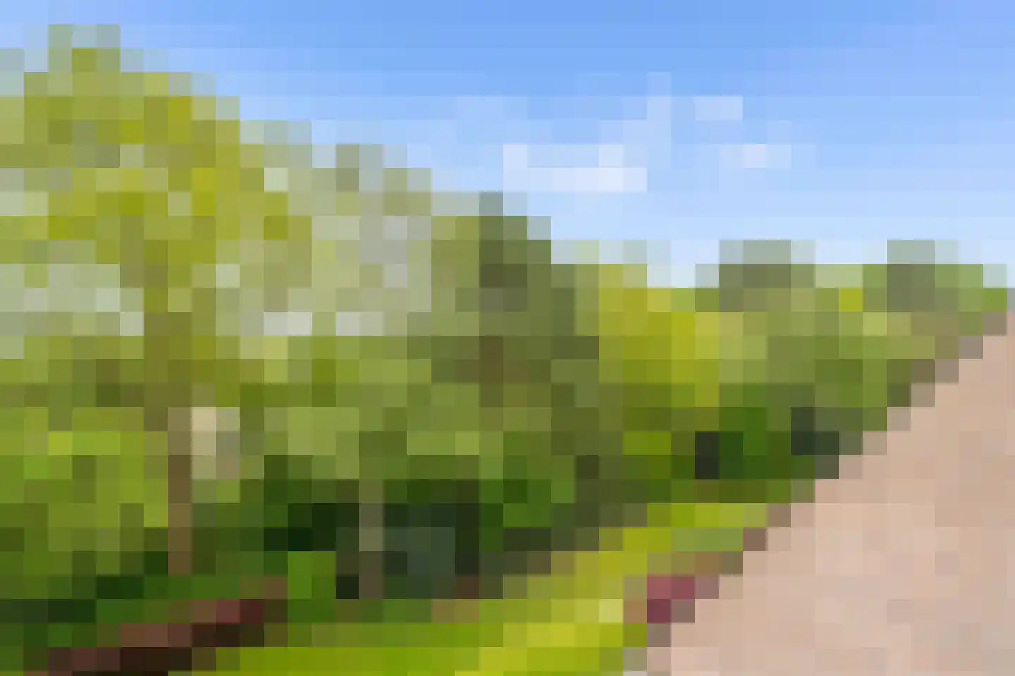 Zeeweg 302 Heiloo thumbnail 59
