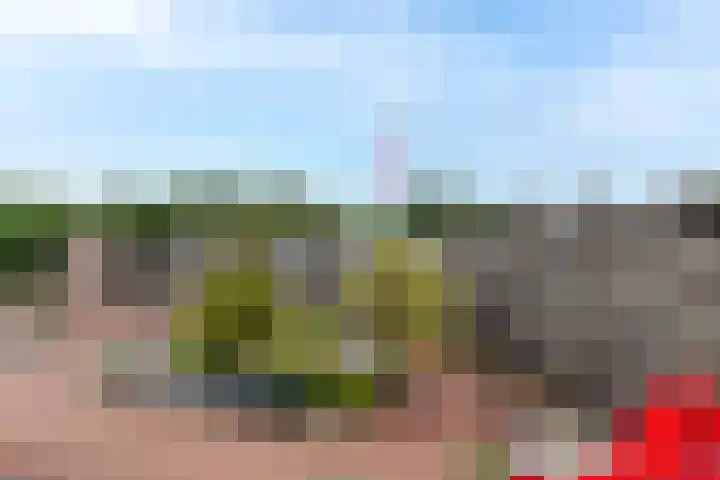 Zeeweg 303 Heiloo thumbnail 32