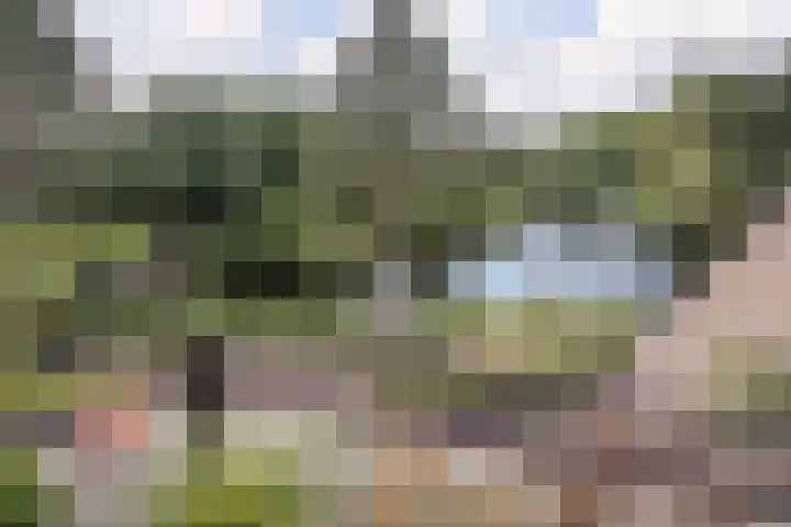 Zeeweg 324 Heiloo thumbnail 5