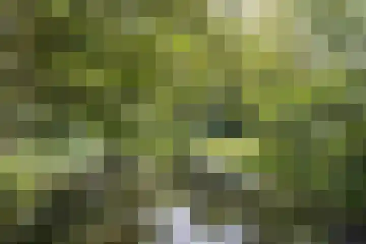 Zeeweg 330 Heiloo thumbnail 26