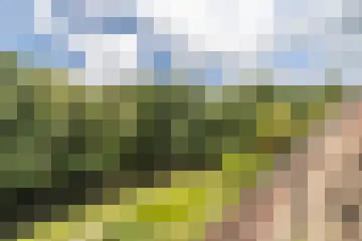 Zeeweg 330 Heiloo thumbnail 6