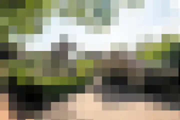 Zeeweg 35 Nunspeet thumbnail 31