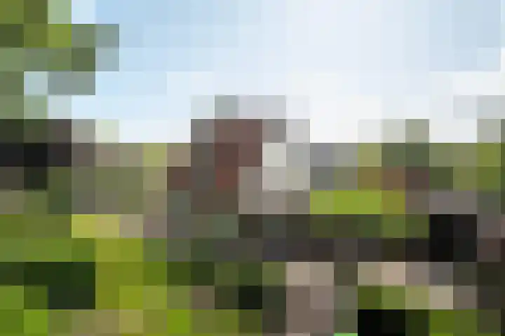Zeeweg 35 Nunspeet thumbnail 32