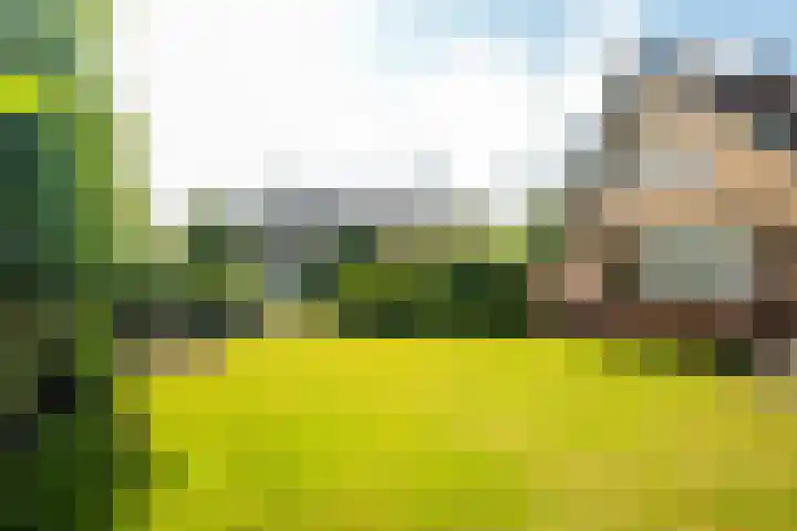 Zeeweg 35 Nunspeet thumbnail 34