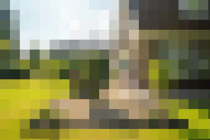 Zeeweg 35 Nunspeet thumbnail 35