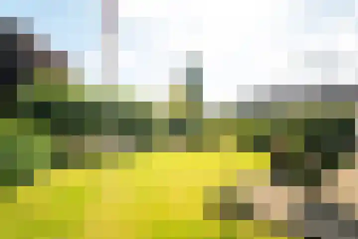 Zeeweg 35 Nunspeet thumbnail 37