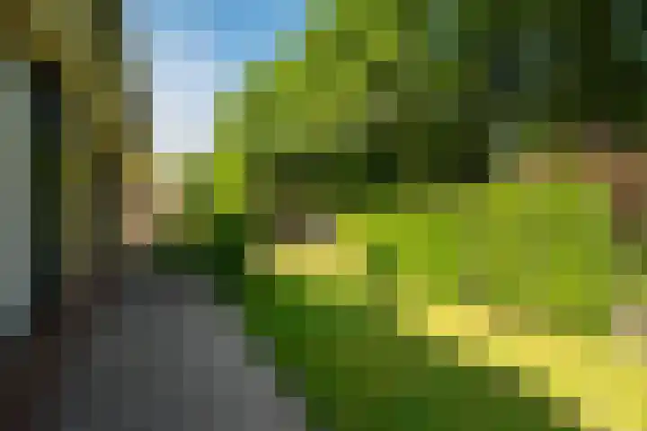 Zeeweg 35 Nunspeet thumbnail 38
