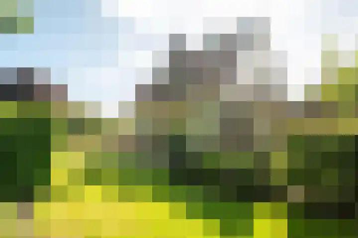 Zeeweg 35 Nunspeet thumbnail 39
