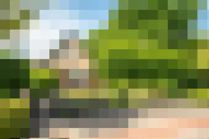 Zeeweg 35 Nunspeet thumbnail 4
