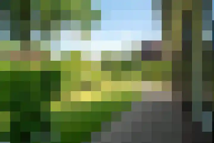 Zeeweg 35 Nunspeet thumbnail 40