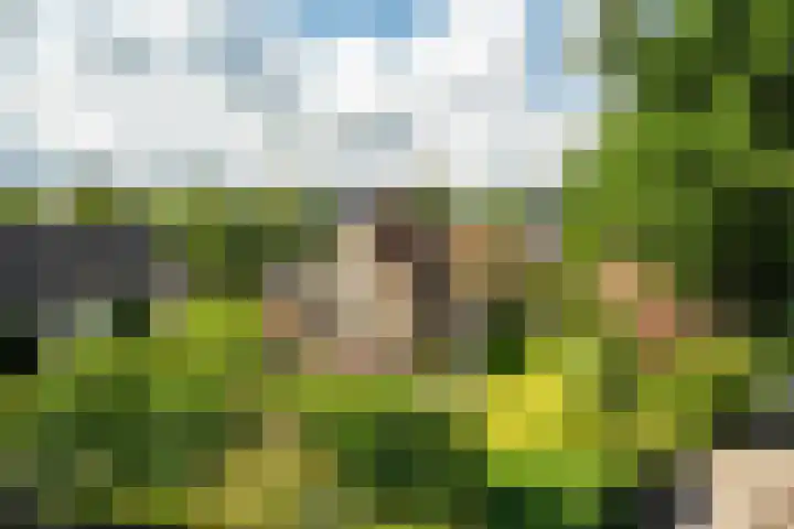 Zeeweg 35 Nunspeet thumbnail 5