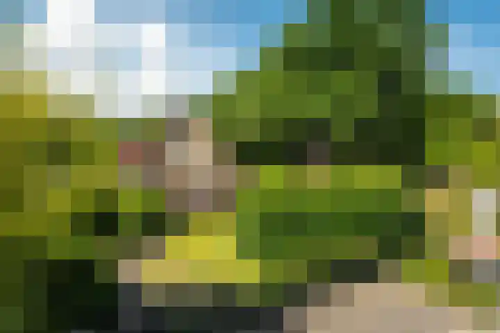 Zeeweg 35 Nunspeet thumbnail 51